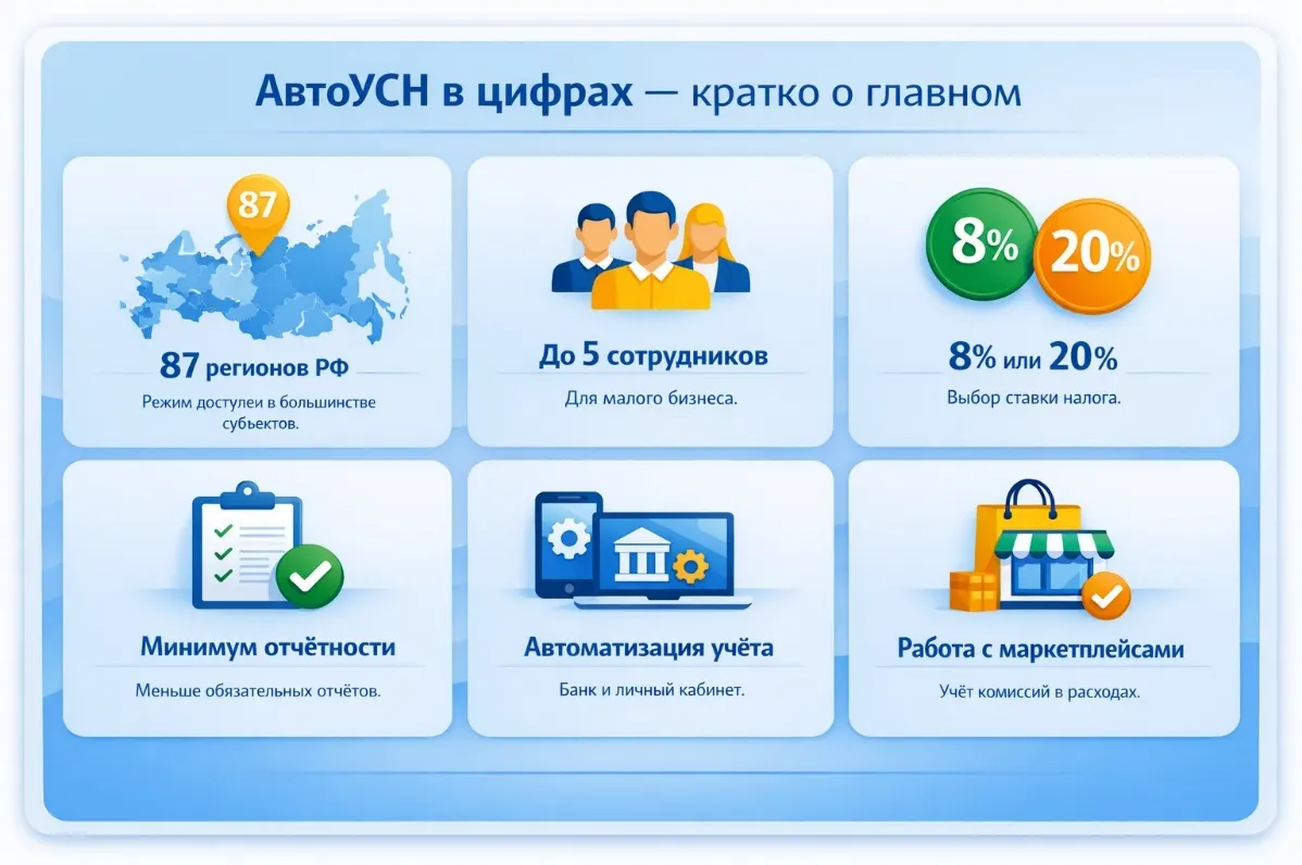 АвтоУСН в 2026 году: практика применения, ограничения и реальные нюансы работы — скриншот 1