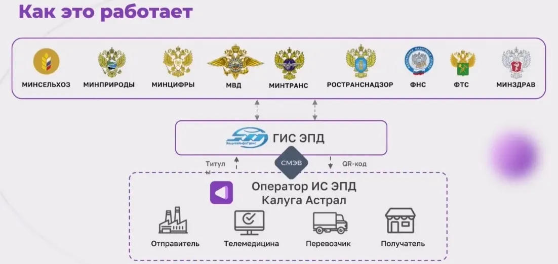 Обязательная ЭТрН С 2026 года — скриншот 1